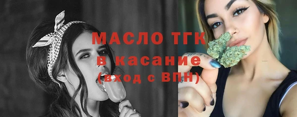 крисы Верхний Тагил