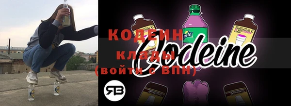 индика Волосово
