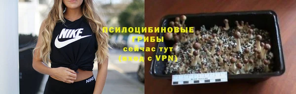индика Волосово