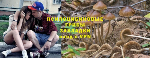 гашик Володарск