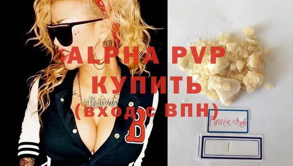 индика Волосово
