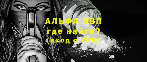 индика Волосово
