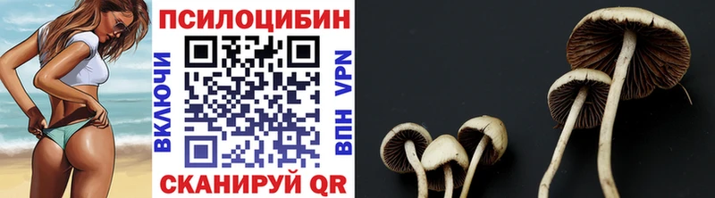 площадка клад  Высоковск  Псилоцибиновые грибы ЛСД 